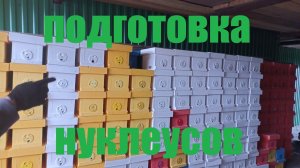 Подготовка нуклеуного парка