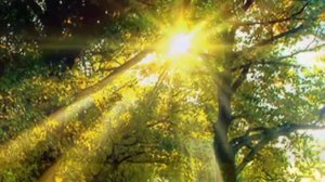 КАП - КАП -Сергей Грищук