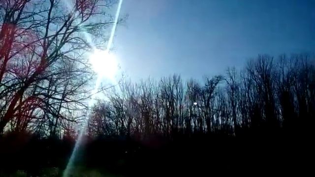 Обзор земли для покупки - домик для пчёл будем брать смотреть онлайн