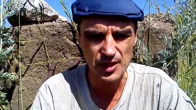 Произвол смотреть онлайн