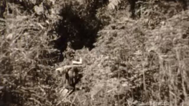 PEOPLE OF THE CONGO 1939 | 16mm Film Print смотреть онлайн