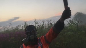 Обрезка соцветий борщевика сосновского на небольшом участке, при помощи мачете, под музыку