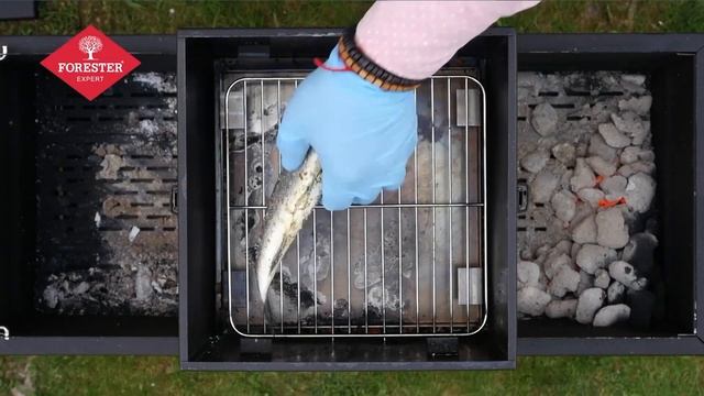 ЛЕГКИЙ РЕЦЕПТ: КОПЧЁНОЕ РЫБНОЕ АССОРТИ С КРЕВЕТКАМИ смотреть онлайн