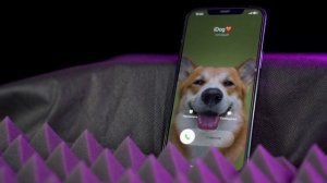 Standard iPhone ringtone "Swell" | Стандартная мелодия звонка iPhone "Зыбь"