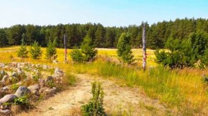 Камовые холмы. Капище. Деревня Суоранда