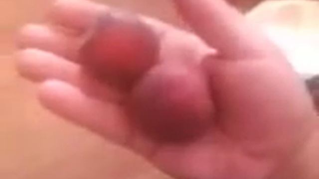 Черный абрикос. black apricot. Сорт "Черный принц" смотреть онлайн