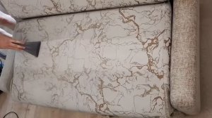 МОЮЩИЙ ПЫЛЕСОС ТОМАС АМФИБИЯ ПРЕКРАСНО ОТМЫЛ ДИВАН