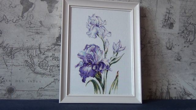 Ирис от Luca-S оформлен смотреть онлайн