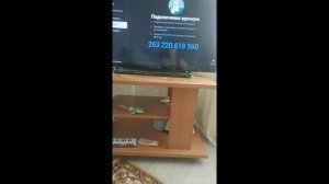 как подключить телевизор Тошиба к телефону