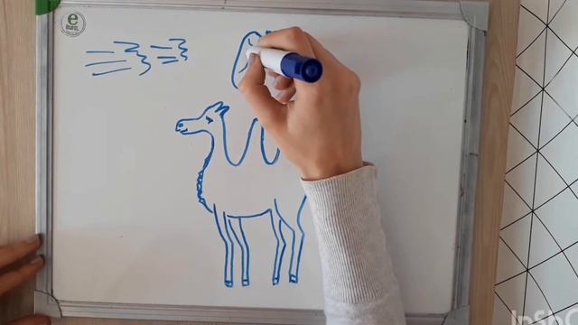 Навіщо верблюду горби / мультик / цікаві факти про верблюда смотреть онлайн
