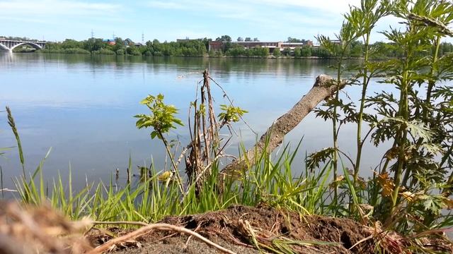 Река Бия, город Бийск, Алтайский край смотреть онлайн