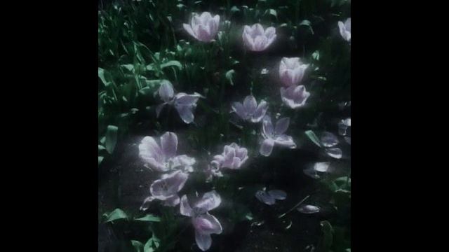 [free] deftones x loathe x shoegaze type instrumental - "life" (alternative metal) смотреть онлайн