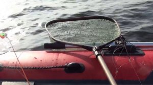 Ловля леща на кольцо в сентябре. Рыбалка на Волге.