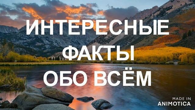 ИНТЕРЕСНЫЕ ФАКТЫ ЧАСТЬ 4 смотреть онлайн