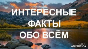 ИНТЕРЕСНЫЕ ФАКТЫ ЧАСТЬ 4