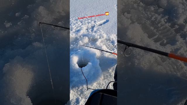 Зимняя Волга🌅