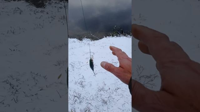 #рыбалка #блеснанащуку #воблерынащуку #снегкружится # смотреть онлайн