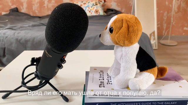 «подкаст-минутка» #6 (мягкая игрушка) смотреть на скорости 0,50 смотреть онлайн