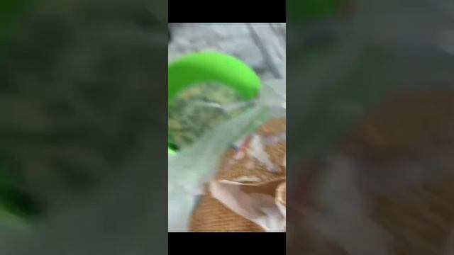 Готовим лепешку из молока, на сковороде. Легче не бывает?? смотреть онлайн