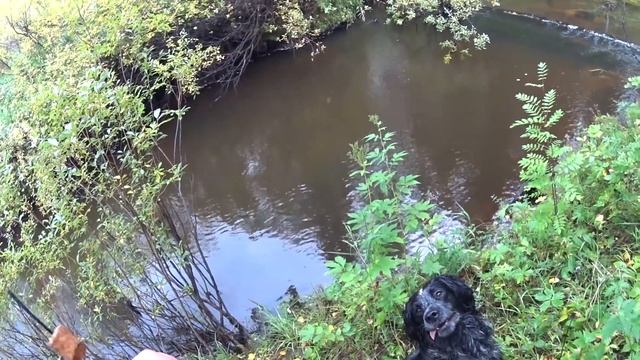 Пеше-водный поход с рыбалкой. Часть 2. Ловля хариуса. Один в глухой тайге. Уха на костре. Ночёвка. смотреть онлайн