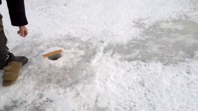 Зимняя ловля берша. Прикол смотреть онлайн