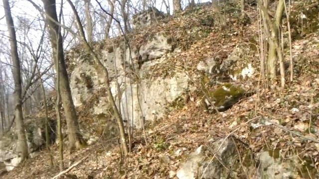Подснежники и пролески в лесу весной смотреть онлайн