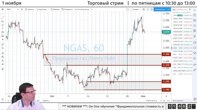Торговый стрим | Трейдинг | Анализ рынка FOREX, FORTS, ФР | 1 ноября смотреть онлайн