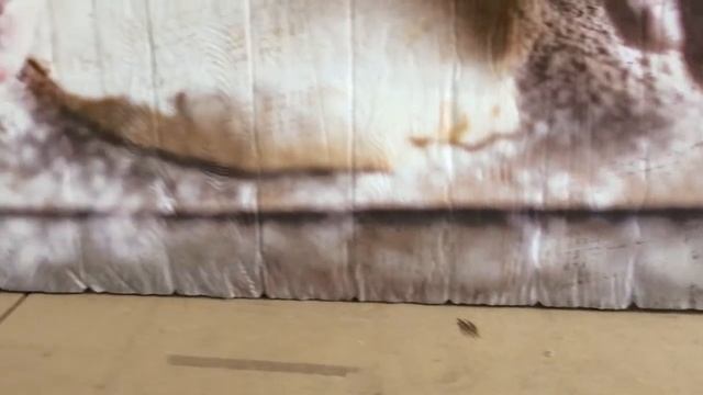 Картины на досках. "ХЛЕБ" RIDS2.0 смотреть онлайн