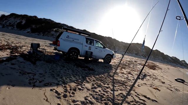 Big Knoby snapper off the drone drop at Lancelin beach смотреть онлайн