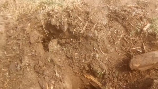 Продолжаем делать фундамент.