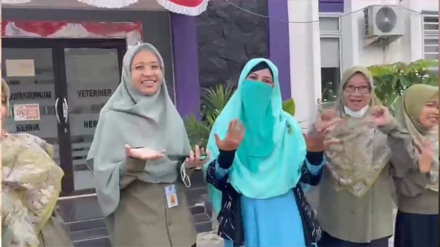 PENANGANAN DAGING PASCA PMK (LAGU BAHASA BANGKA) смотреть онлайн