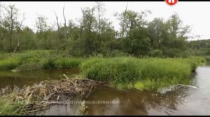 Агрессивная среда, часть 1