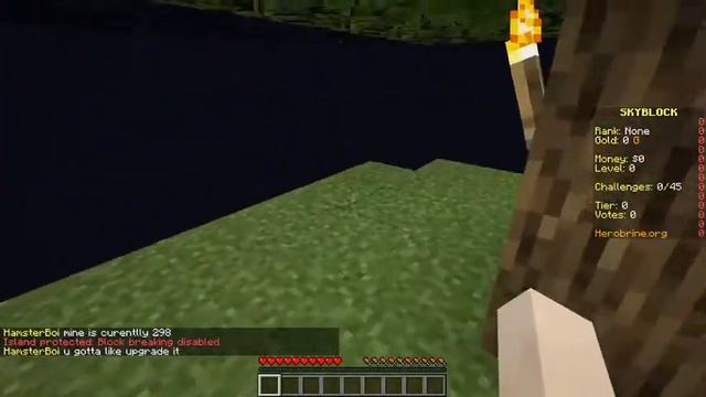 Enjoying MINECRAFT || Chill Walla mahool смотреть онлайн