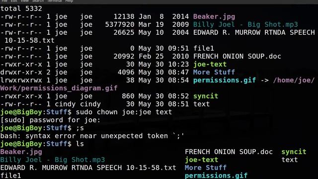 Linux File Types and File Permissions смотреть онлайн
