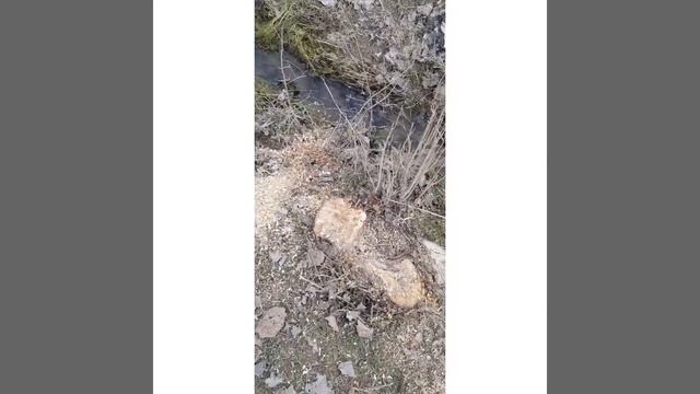 Косонсой тумани Баҳористон МФЙ муаммолар смотреть онлайн