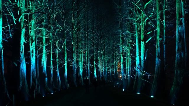 Christmas Garden - Roberto Blanco auf der Insel Mainau смотреть онлайн