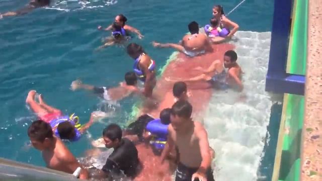 Red Dolphin Island 2 смотреть онлайн