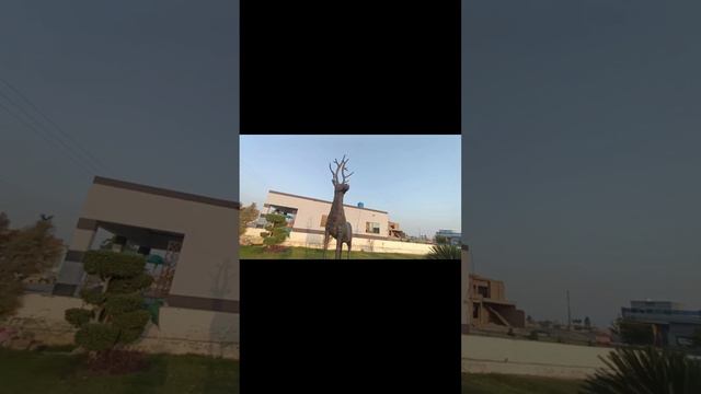 Visit to the Green-land Colony 😎||Vlog in Pakistan||Subscribe 👉Saqii Official смотреть онлайн