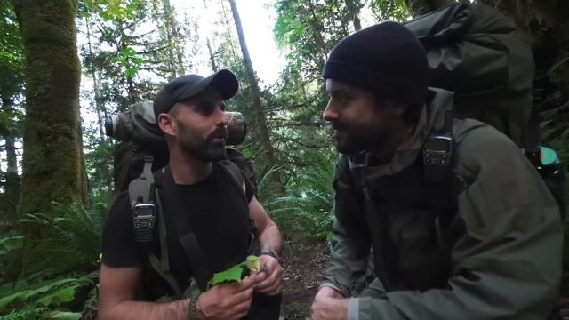 AU MILIEU DES OURS смотреть онлайн