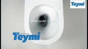 Унитаз подвесной Teymi Lina VORTEX безободковый, сиденье микролифт T40110