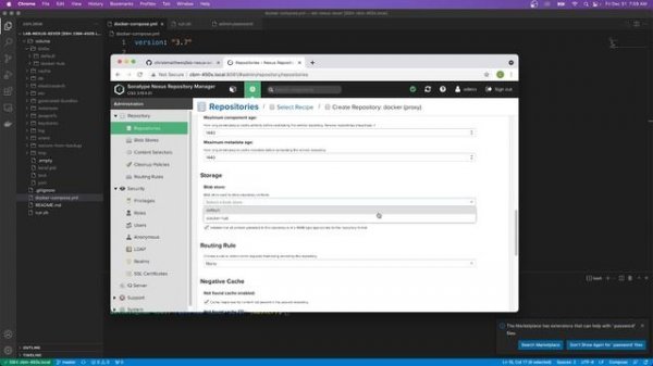 Set up a Private Docker Repository and Docker Hub Proxy with Nexus