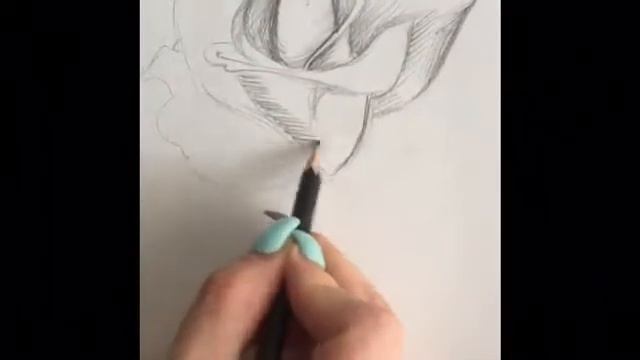 Как рисовать РОЗУ смотреть онлайн