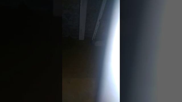 Когда котику дали живую мышку смотреть онлайн