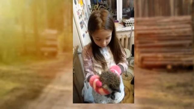 Интересная история ёжика. Доброе видео. смотреть онлайн