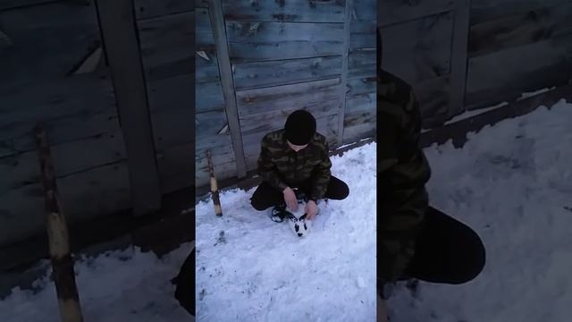 Как гуманно забить кролика! смотреть онлайн