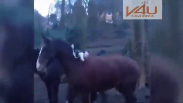 Ох, уж эти девушки! Смех сквозь слезы смотреть онлайн