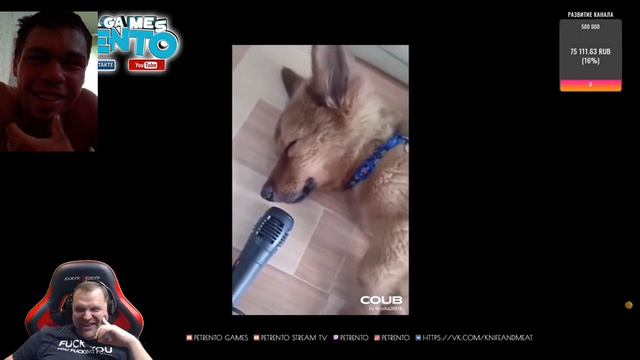 Петренко смотрит лучшие приколы #23/ реакция на Петренко смотреть онлайн