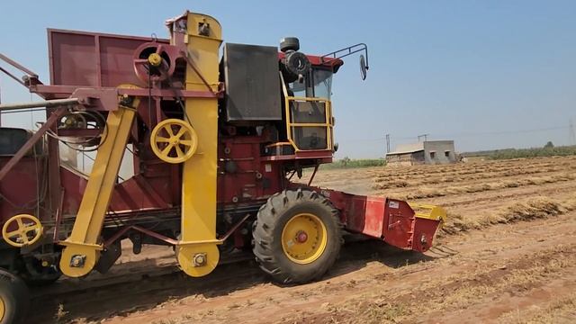 Chana Harvester