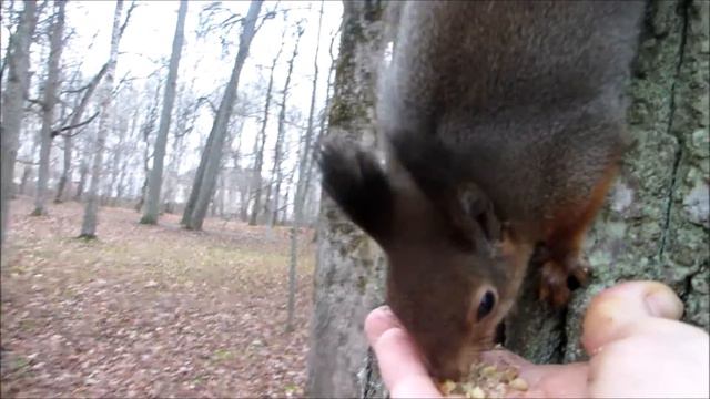 Кто не работает - тот ест © смотреть онлайн