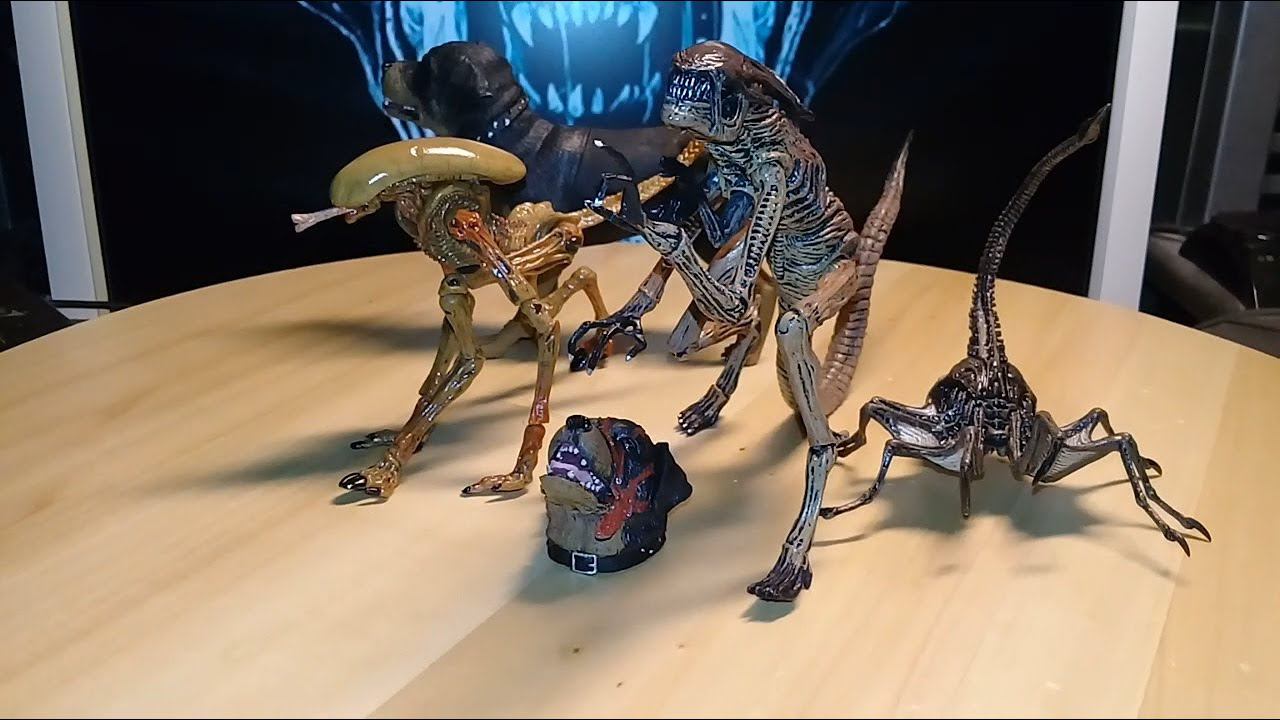 Review! 2019 Neca Alien 3 Creature Pack! смотреть онлайн